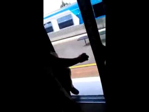 Idiot vyskočil z idúceho vlaku :)