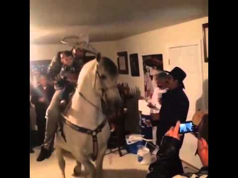 Domová párty s koňom