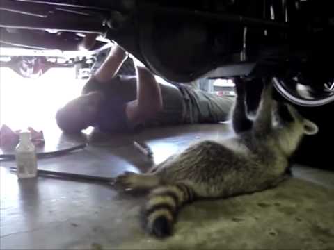 Mechanik a jeho pomocník :)